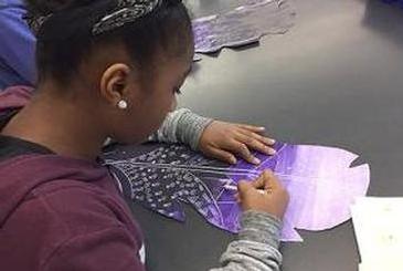From Around the Region: Liverpool CSD's Nate Perry Elementary students use art to express 